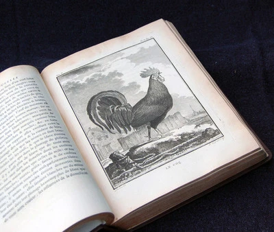 1771 BUFFON / DE SEVE VOL. 2: GAME BIRDS - QUARTO, FINE BINDING  - Image 1 of 4