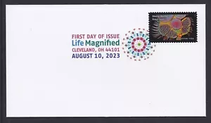 US 5802i Life Magnified Diving Beetle Front Foot DCP FDC 2023 - Picture 1 of 1
