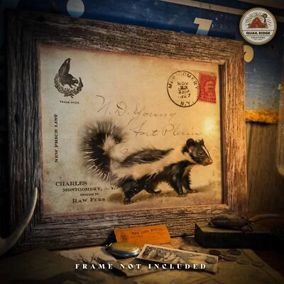 Vintage Fur Trapping Catalog Art Print Skunk Trapping Hunting Cabin Decor Gift - Image 1 of 4