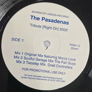 The Pasadenas – Tribute Right On 2000- Vinyl 12 PROMO Monie Love *DL - Picture 1 of 3