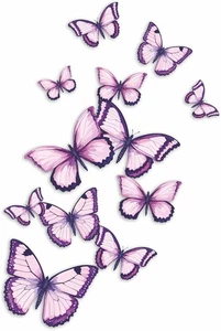 x12 Purple Butterfly Stickers, Hardwearing Waterproof 0% A5, 12 Lilac - Picture 1 of 5