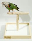 Perchoir de table de luxe NU - support de perchoir de table pour tous les perroquets de petite à moyenne taille