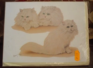 Lovely Chinchilla Persian Cat Blank Greeting Card - Picture 1 of 1