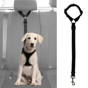 Auto Sicherheitssitzgurt für Hund Katze Reise Leine Clip Gurt - Bild 1 von 4