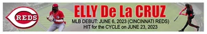 ELLY De La CRUZ CINCINNATI REDS FULL COLOR NAME PLATE - Picture 1 of 1