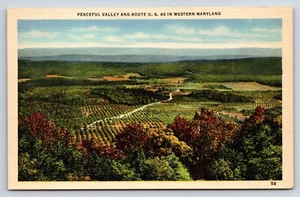 Postcard Peaceful Valley Route U.S. 40 in Western Maryland Aerial Fruit Trees - Bild 1 von 2