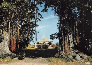 974 LA REUNION - Foto 1 di 2