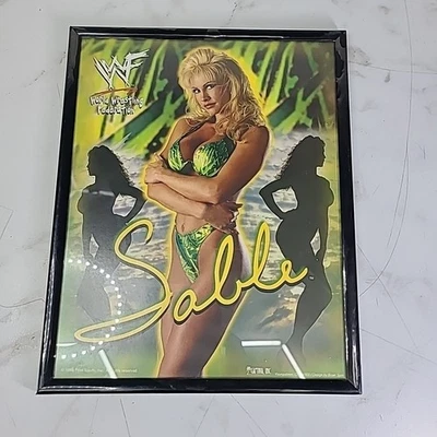 Foto de luta livre vintage 8x10 Sable Picture In Frame WWF WWE  - Imagem 1 de 2