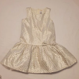Gymboree Girls Sz 7 Silver Crinkle Formal Dress - Picture 1 of 8