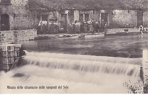 8207) ANIMATED AVELLINO SELE SOURCE CAP - Picture 1 of 2