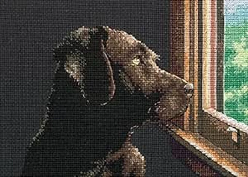 COUNTED CROSS STITCH PATTERN ONLY - PONDERING PUP (LAB DOG LOOKING OUT WINDOW) - Image 1 of 1