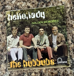 HUBBUBS: hello, lady / golden memories Fontana 7" Single 45 RPM - Afbeelding 1 van 3