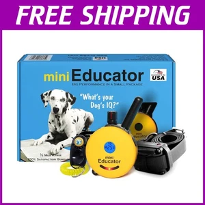 Professional Waterproof Dog Training Collar - 1/2 Mile Range - Picture 1 of 11