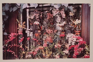 Longwood Gardens, Kennett Square, Pa. - Cartolina Pennsylvania - Foto 1 di 2