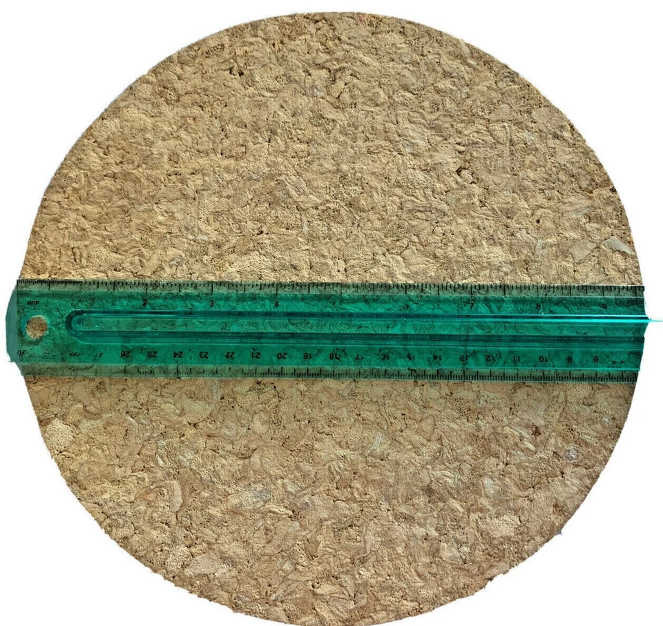 Almohadilla para manualidades absorbente de agua o posavasos redondos para plantas de corcho de 10 pulgadas Foto 1 de 2