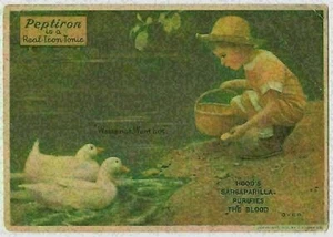Pepitron Iron Tonic - Victorian Trade Card - Picture 1 of 2