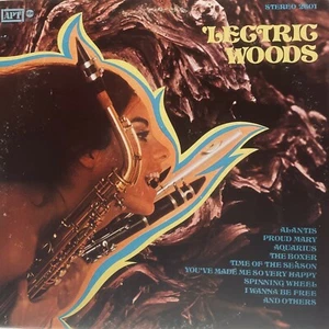 'Lectric Woods - 'Lectric Woods - APT Records - PROMO Copy - 1969 - Vinyl LP - Picture 1 of 4