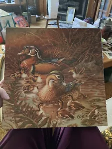Vintage Springbok Puzzle 1982 Family Outing PZL2109 Complete - Picture 1 of 9