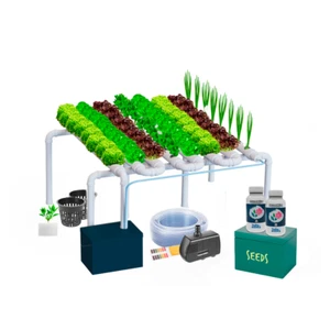 Hydroponic Kit N15 NFT System 64 Plants Complete Garden with Nutrient & Seeds - Foto 1 di 9