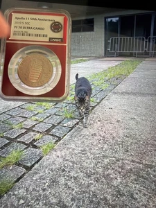 2019 S Apollo 50th ann. PF70 Ultra cameo Silver 50c pc - Picture 1 of 2