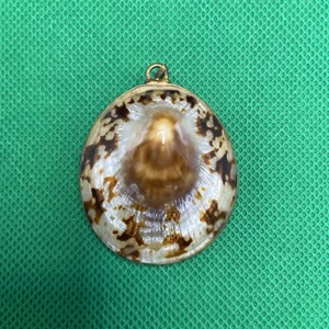NATUR ANTIK LIMPET MUSCHEL HANDGEFERTIGT ANHÄNGER DOPPELSEITIG - Bild 1 von 9