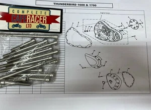 TRIUMPH THUNDERBIRD 1600/1700/COMMANDER/STORM/LT 38 PCS STEEL A2 ALLEN BOLT KIT - Picture 1 of 1