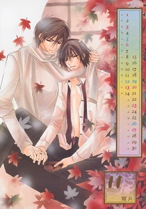 Póster Junjou Junjo Romantica anime Kamijou Hiroki Kusama Nowaki Yaoi BL - Imagen 1 de 2