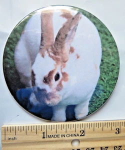 Bunny rabbit Pinback Button Pin - Picture 1 of 2
