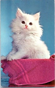 The Queen Kitten In A Basket Cat Postcard - Picture 1 of 2