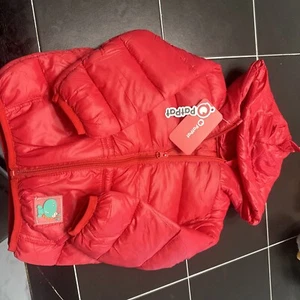 Chaqueta PatPat niño o niña joven talla 2/3 con capucha cremallera completa. - Imagen 1 de 4