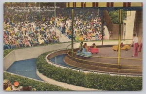 Schimpansenschau Wald Park Zoo St. Louis Missouri Leinen Postkarte um 1958 - Bild 1 von 2