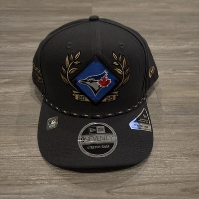 Toronto Blue Jays New Era 2025 American League Division Series Champions Hat 🏆 - Image 1 of 4