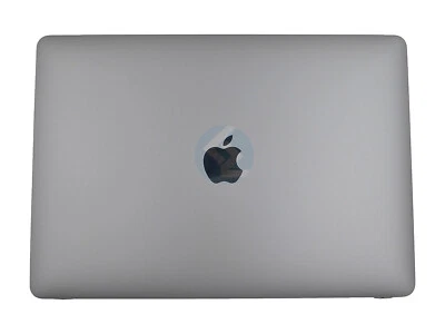 Conjunto de pantalla LED gris espacial grado A para MacBook Air 13" A2179 2020 Foto 1 de 4