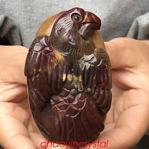 0.5LB Natural Ocean jasper Bird Skull Quartz crystal Carved Decor  XK808-05-A - Imagen 1 de 10