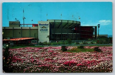 Postal vintage de Marineland del Pacífico - Palos Verdes, California, años 60 Foto 1 de 3