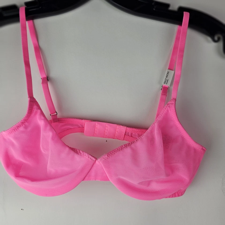 Gilly Hicks 全新带标签粉色网眼钢圈半透明文胸 30C — 第 1/4 张图片
