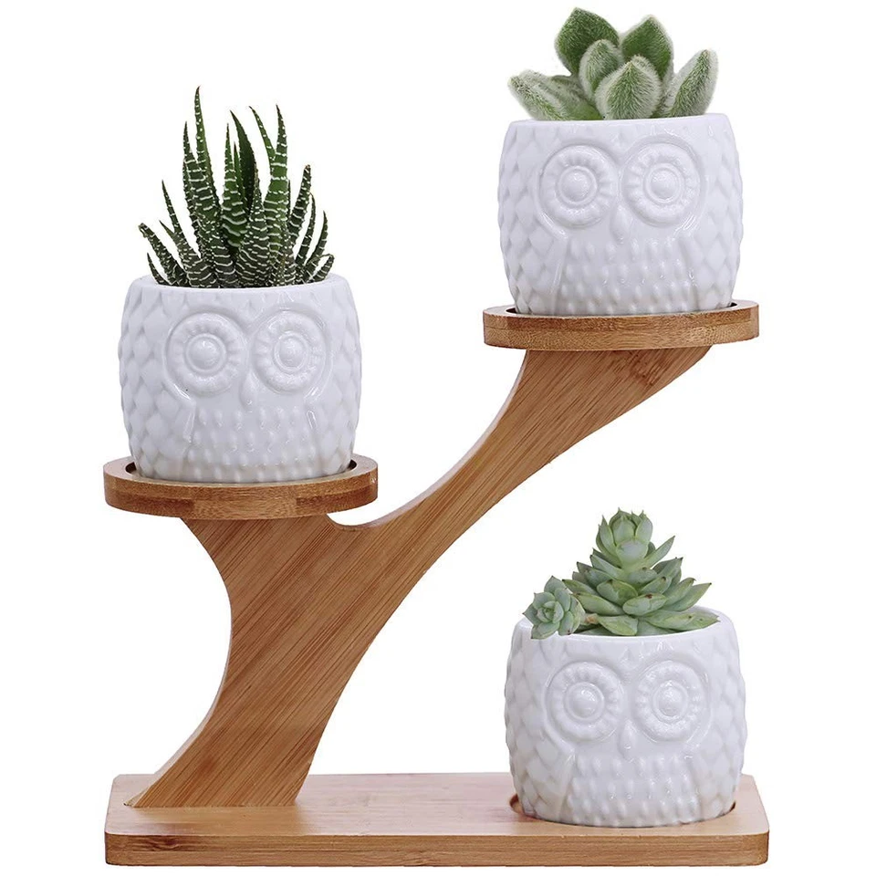 3pcs Owl Succulent Pots W 3 Tier Bamboo Saucers Stand Holder White Modern Decora