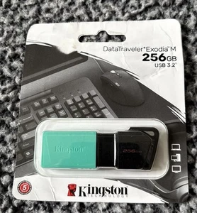 Kingston 256GB USB 3.0 Flash Drive Superspeed USB 3.0 DataTraverler Memory Stick - Afbeelding 1 van 2