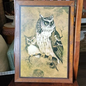 Impresión de colección Richard Hinger Screech Owls enmarcada 21"x15,5" MCM - Imagen 1 de 14