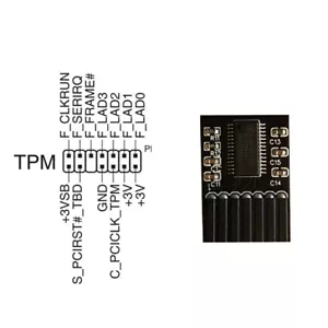 New 1PC TPM 2.0 Security Module For ASUS Motherboard 14 Pin LPC Card Windows 11 - Picture 1 of 6
