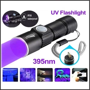 Linterna LED recargable UV 395 nm lámpara de inspección antorcha USB luz negra - Imagen 1 de 12