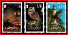 Gibraltar 2012 Vögel Sc #1326-28 MNH Fv £4.48 / Cv $ 13.40 Owls
