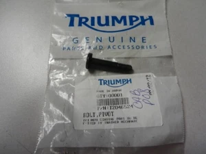 NOS Triumph Incomplete Pivot Bolt 2005-2007 Triple Speed 1050 T2046524 - Picture 1 of 5
