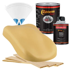 HOT ROD FLATZ Buckskin Tan Quart Kit URETHANE Flat Auto Car Paint Kit - Picture 1 of 5