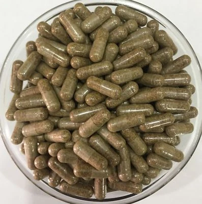 MAPLE LIFESCIENCES BIO Lajwanti Samen Kapseln Mimose Pudica hilft vorzeitiger Ejakulation