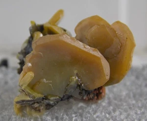 WULFENIT KRISTALLE - 1,9 cm - DEFIANCE MINE, ARIZONA 29643 - Bild 1 von 6