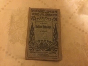 Franz Neureuter Auf der Fuchsjagd 1905 - Picture 1 of 1