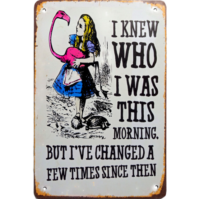 Vintage Alice In Wonderland And Dodo Metal Sign, Alice Sign. Retro Wall  Sign, Wall Art, Retro Wall Art, Decor For Home Bar Cafe Hotel - Temu