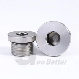 BSP & Metric Plug Hydraulic Socket Blanking Plug with Seal A2 Stainless Steel - Picture 1 of 11