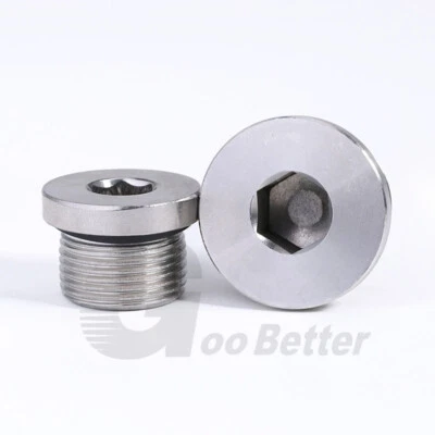 GOOBETTER BSP & Metric Plug Hydraulic Socket Blanking Plug with Seal A2 Stainless Steel